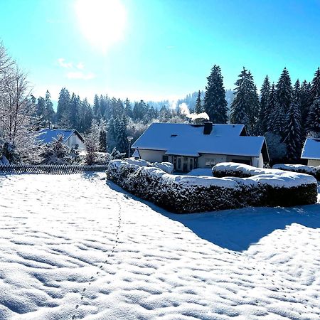 Michels Apartment Titisee-Neustadt Esterno foto