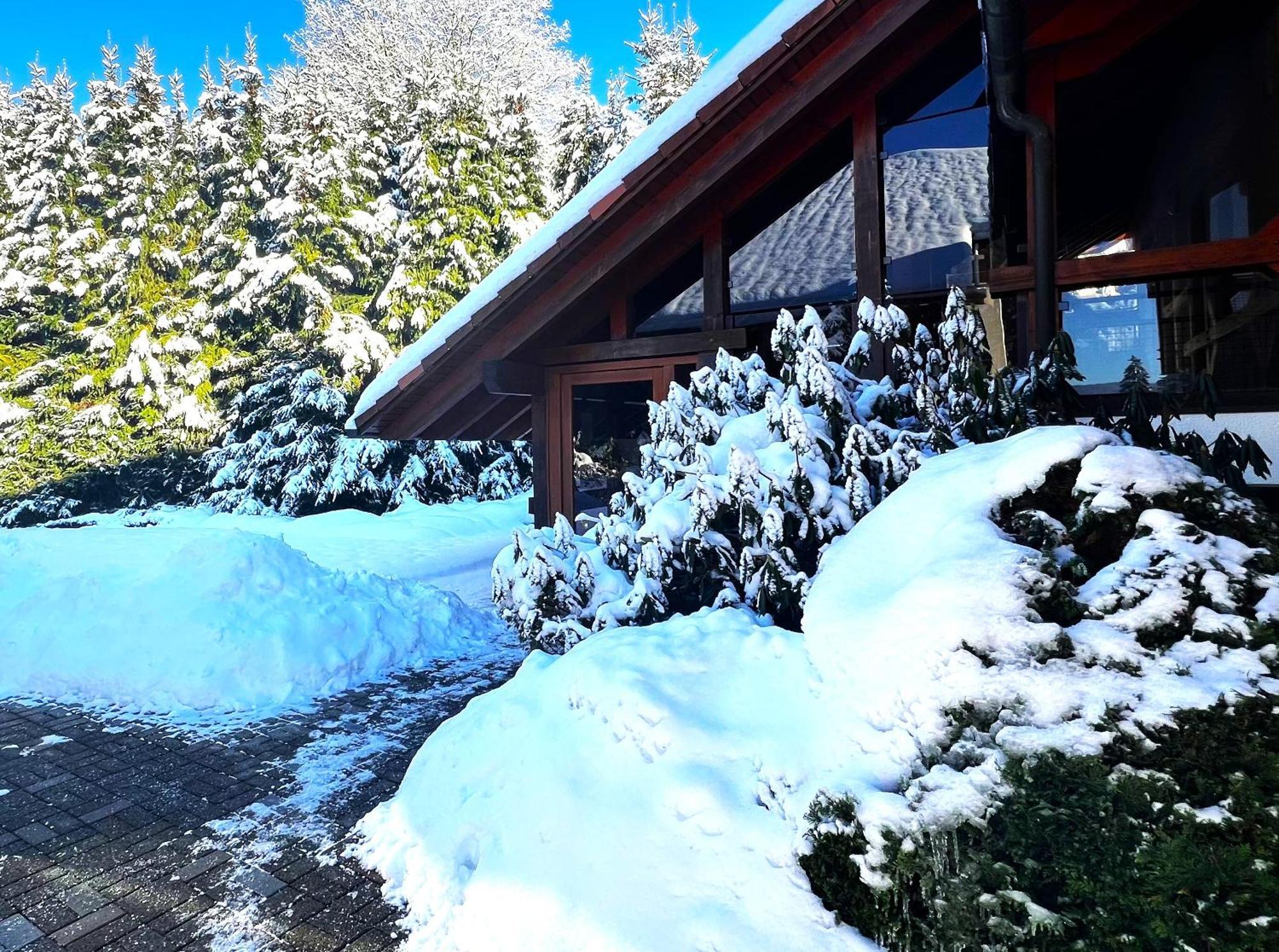 Michels Apartment Titisee-Neustadt Esterno foto